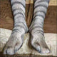 Cotton Socks Women Funny Print Animal Socks - Ctoox