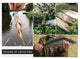 Easy Shiner Fishing Lures Wobblers Carp - Ctoox