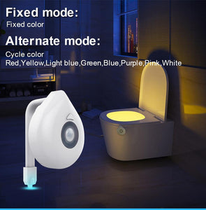LED Toilet Seat Night Light with Motion Sensor - Ctoox