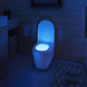 LED Toilet Seat Night Light with Motion Sensor - Ctoox