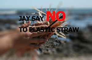 Reusable Drinking Straw - Ctoox
