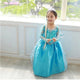 Fancy Girl Princess Elsa Dress - Ctoox