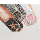 Cotton Socks Women Funny Print Animal Socks - Ctoox