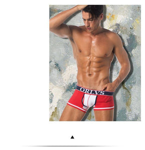 Men Mesh Shorts plus size Solid Men's Clothing boxers - Ctoox