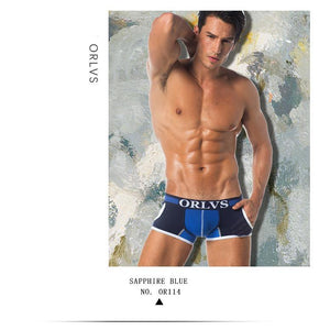 Men Mesh Shorts plus size Solid Men's Clothing boxers - Ctoox