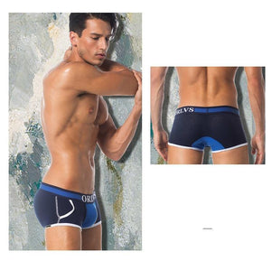 Men Mesh Shorts plus size Solid Men's Clothing boxers - Ctoox