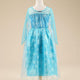 Fancy Girl Princess Elsa Dress - Ctoox