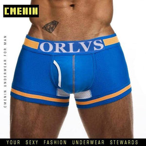 Men Mesh Shorts plus size Solid Men's Clothing boxers - Ctoox