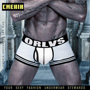 Men Mesh Shorts plus size Solid Men's Clothing boxers - Ctoox