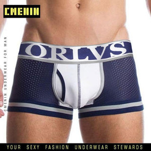 Men Mesh Shorts plus size Solid Men's Clothing boxers - Ctoox