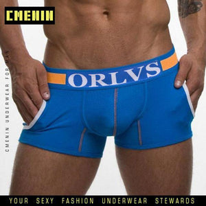 Men Mesh Shorts plus size Solid Men's Clothing boxers - Ctoox