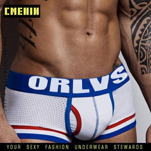 Men Mesh Shorts plus size Solid Men's Clothing boxers - Ctoox