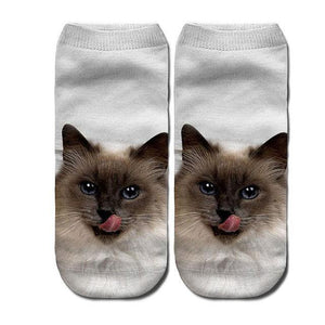 Women's funny animal Cute 3D Print Socks - Ctoox